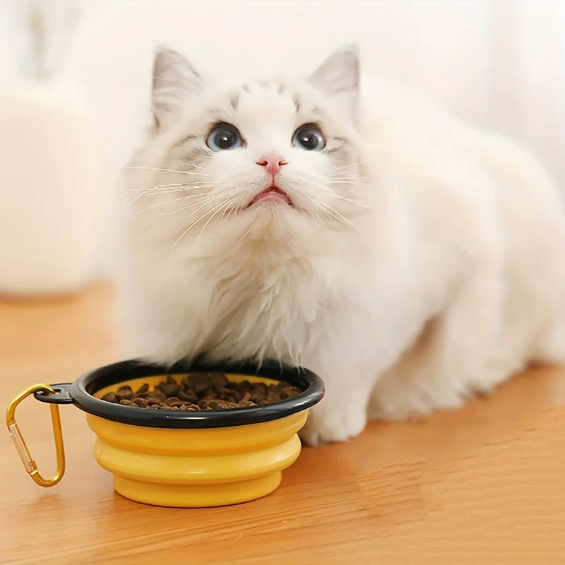 Gamelle pour animaux portable pliable | Prête pour l'évacuation